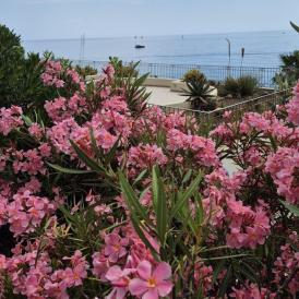 3 kamb. 82 kv.m. butas su vaizdu į jūrą, Lusignano, Ligūrija (Šiaurės Italija) - Photo 10